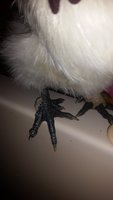 20171001_190600.jpg