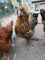 20171001_183542.jpg