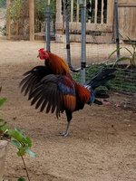 20171002_072717.jpg