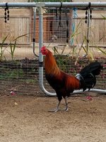 20171002_072708.jpg