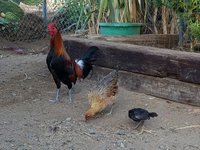 20171001_172539.jpg