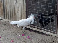 20170929_181932.jpg