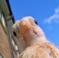 WP_20171003_11_13_47_Pro.jpg