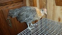 20171003_080750.jpg