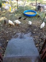 20170930_130638.jpg