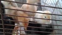 20171003_133713.jpg