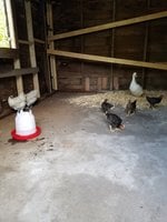 20170925_134446.jpg