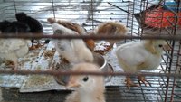 20171003_133426.jpg