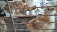 20171003_133435.jpg