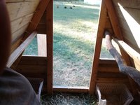 IMG_20171003_171830156.jpg
