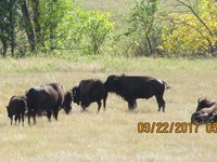 IMG_0776.JPG