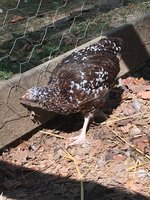IMG_9842.JPG