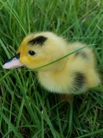 20170921_164706.jpg