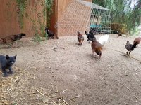 20171003_083017.jpg