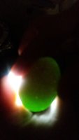 20171004_180853.jpg