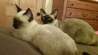 20171005_002049.jpg