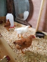 20171005_090635.jpg