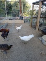 20171005_073546.jpg