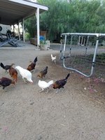 20171005_073513.jpg
