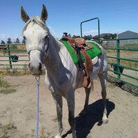 20170915_130904.jpg