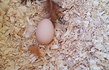 20171005_143301.jpg