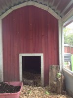 IMG_1377.JPG