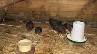 20171006_084205.jpg