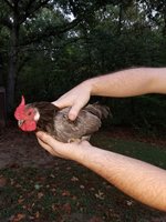 20171003_184844.jpg