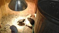 20171005_175144.jpg
