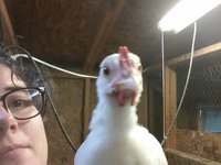 20171005_175021.jpg