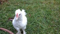 20171005_175614.jpg