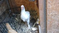 20171005_175303.jpg