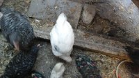 20171005_175333.jpg