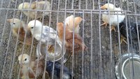 20171006_155412.jpg