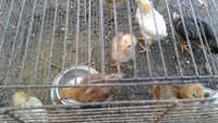 20171006_155427.jpg