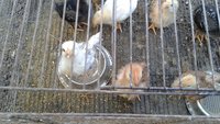 20171006_155437.jpg
