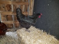 20171006_165203.jpg