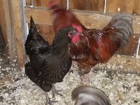 20171006_165318.jpg