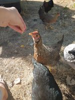 20170724_084028.jpg