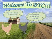 900x900px-LL-994cc954_WelcometoBYCXtheroad.gif