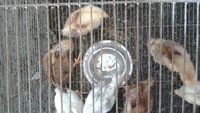 20171007_161951.jpg