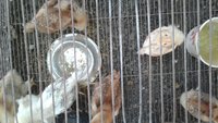 20171007_161958.jpg