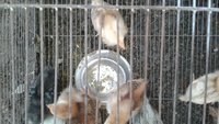 20171007_162016.jpg
