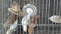 20171007_161945.jpg