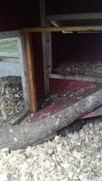 IMG_20171007_190802170.jpg