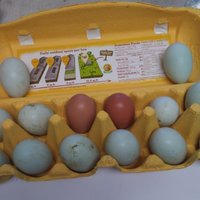 20171008_134546.jpg
