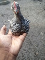 20171009_174338.jpg
