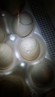 20171011_064609.jpg
