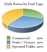 Feed Rations by type.png