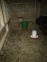 IMG_0702.JPG